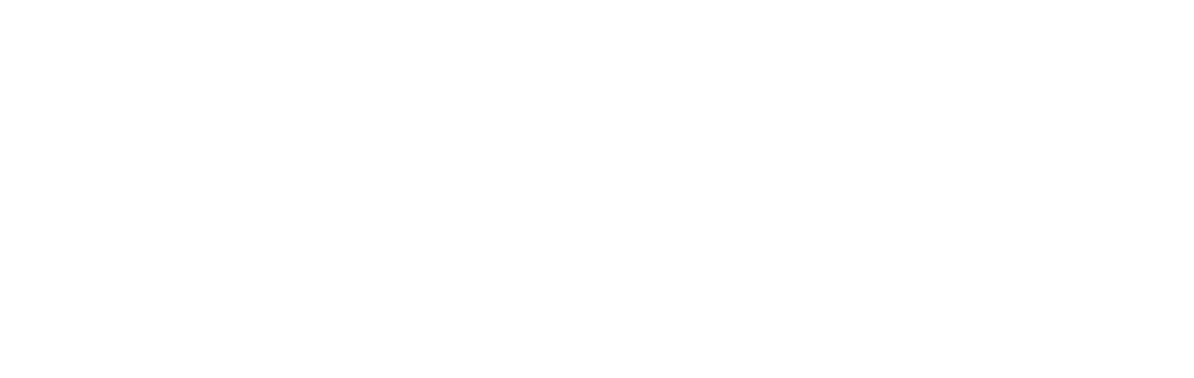 Preferred Marketing Solutions Logo
