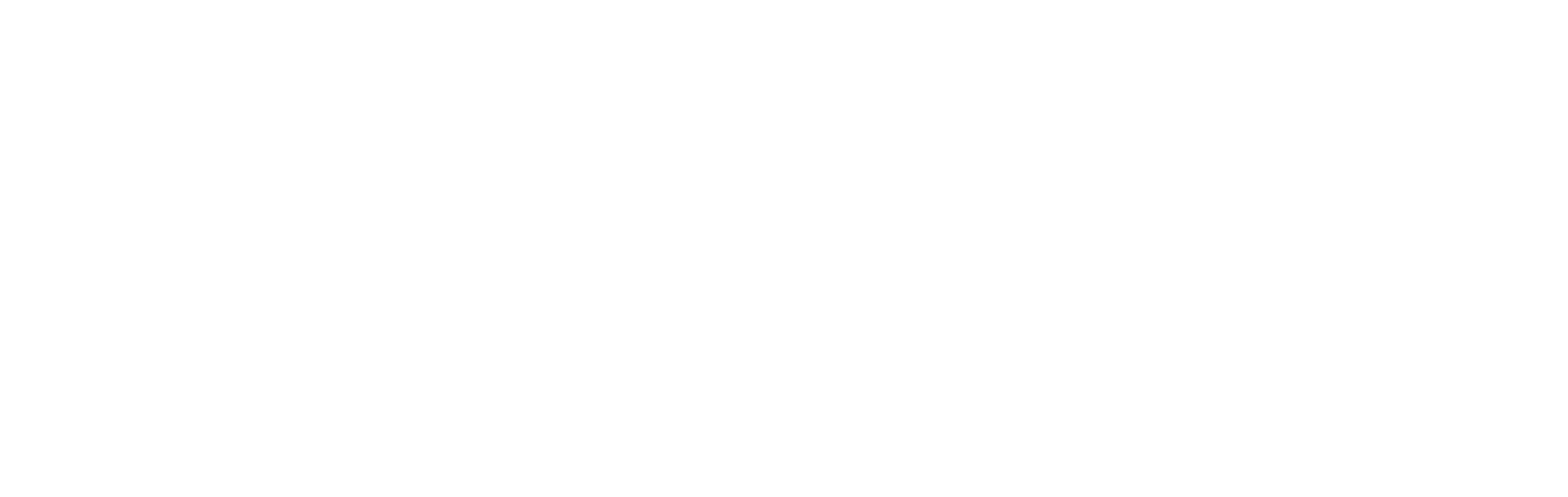 Preferred Marketing Solutions Logo
